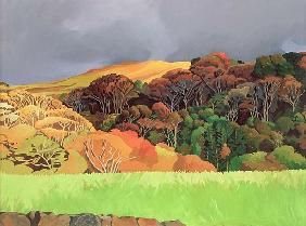 Calgary Woods, Isle of Mull (oil on canvas) 