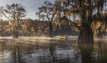 Morning In The Lake