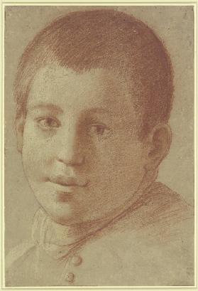 Portrait of a boy