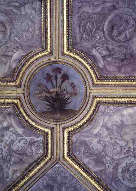 Floral ceiling decoration, from the 'Camerino' de Annibale Carracci