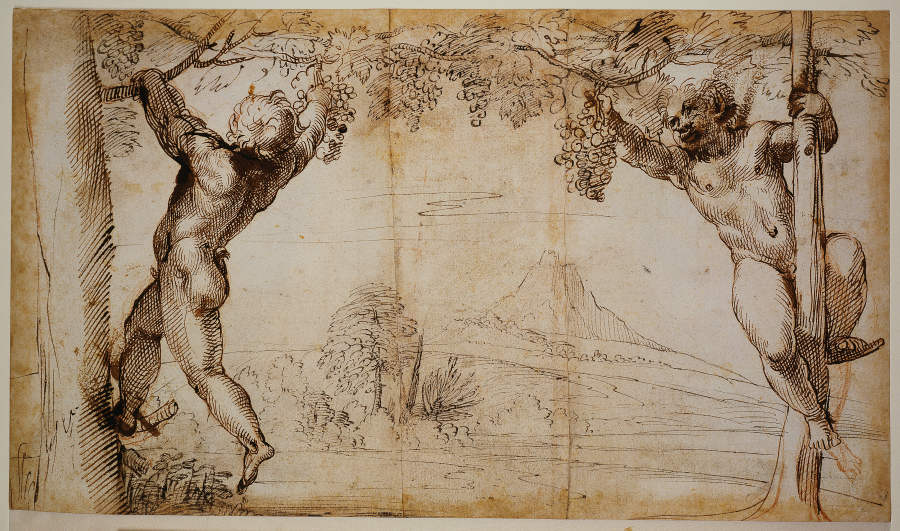 Two Young Satyrs picking Grapes de Annibale Carracci