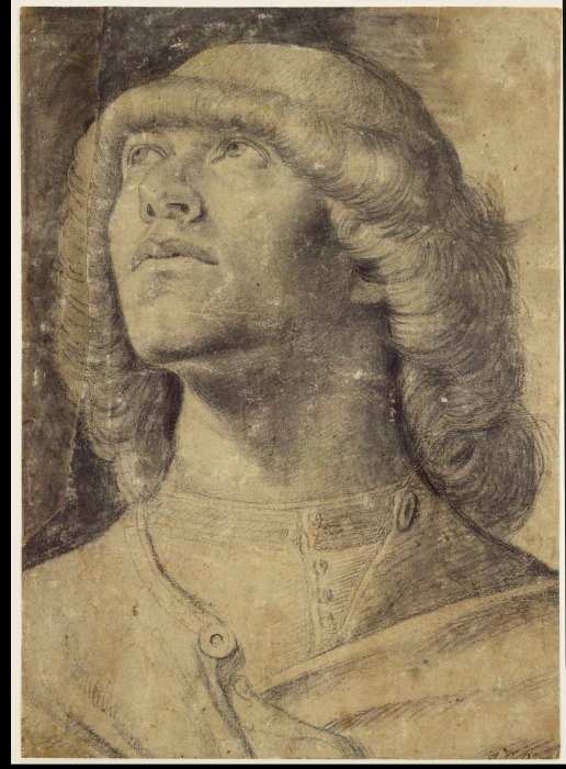 Half-length portrait of a youth looking upwards de Anonym