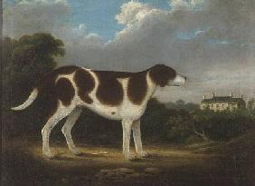 A Pointer, Primitive School