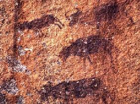 Rock painting depicting animals