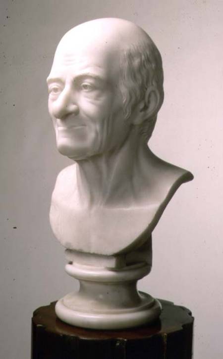 Marble bust of Voltaire de Anonymus