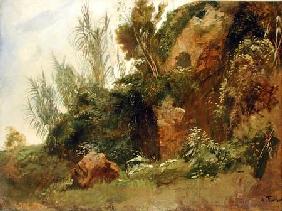 Landscape Study at Baths of Caracalla