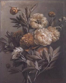 Peonies (pastel)