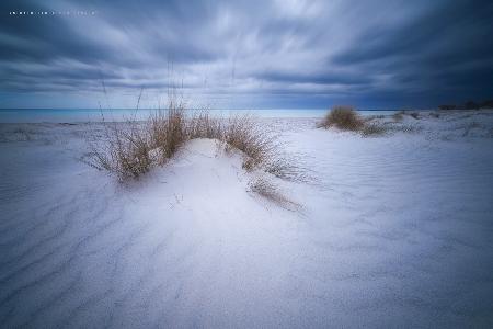 Beach White