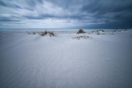 Beach White