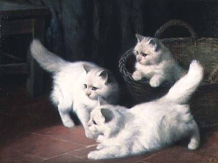Three White Angora Kittens de Arthur Heyer