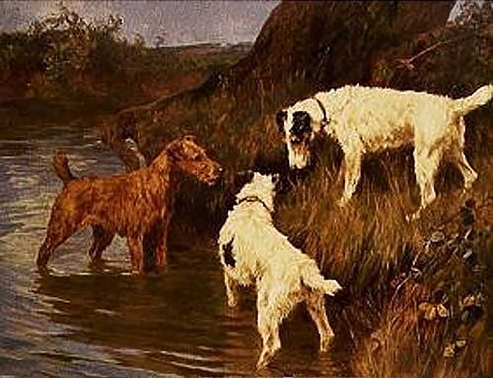 Three terriers at a riverbank de Arthur Wardle