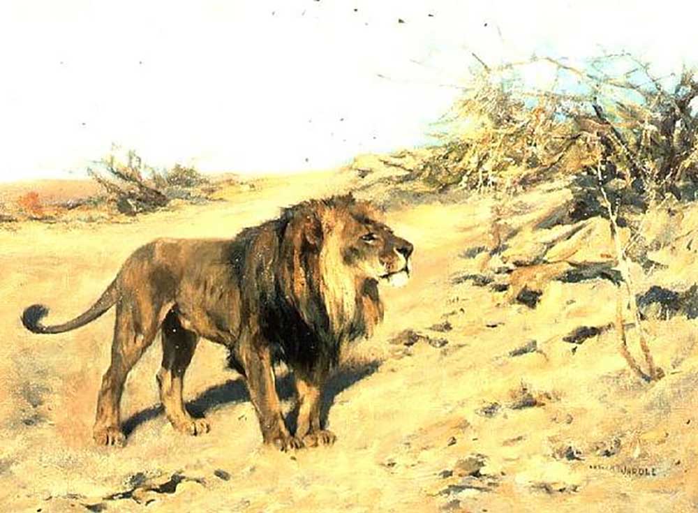 A Lion Amongst Scrub de Arthur Wardle