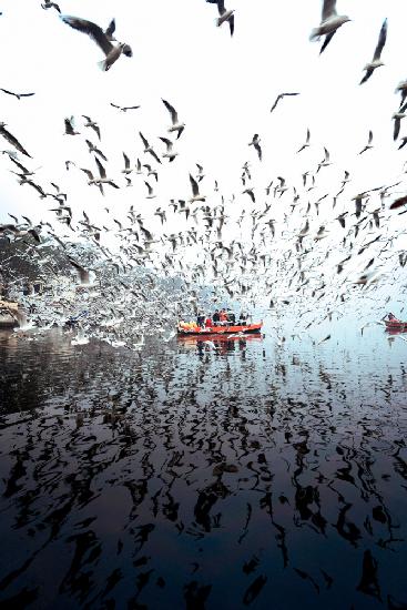 Limitless at Yamuna Ghat