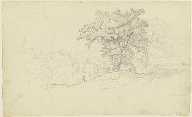 Landscape near Paliano