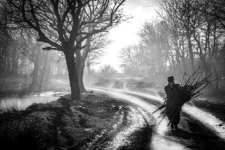 a peasant woman wood bearing