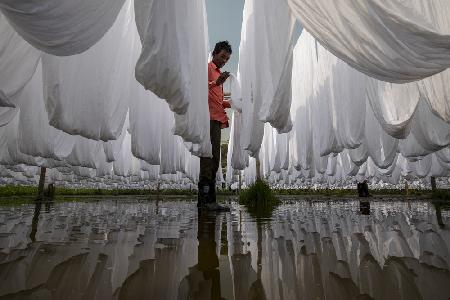 Working in white cloth