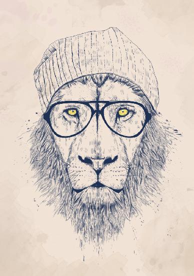 Cool lion