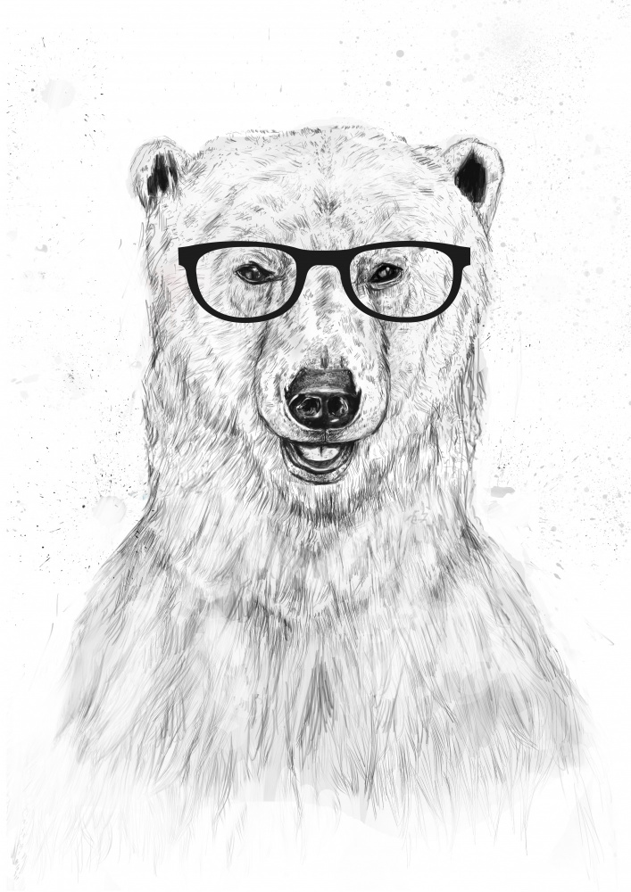 Geek bear de Balazs Solti