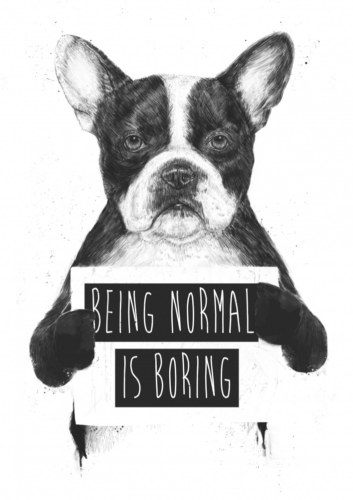 Being Normal Is Boring de Balazs Solti