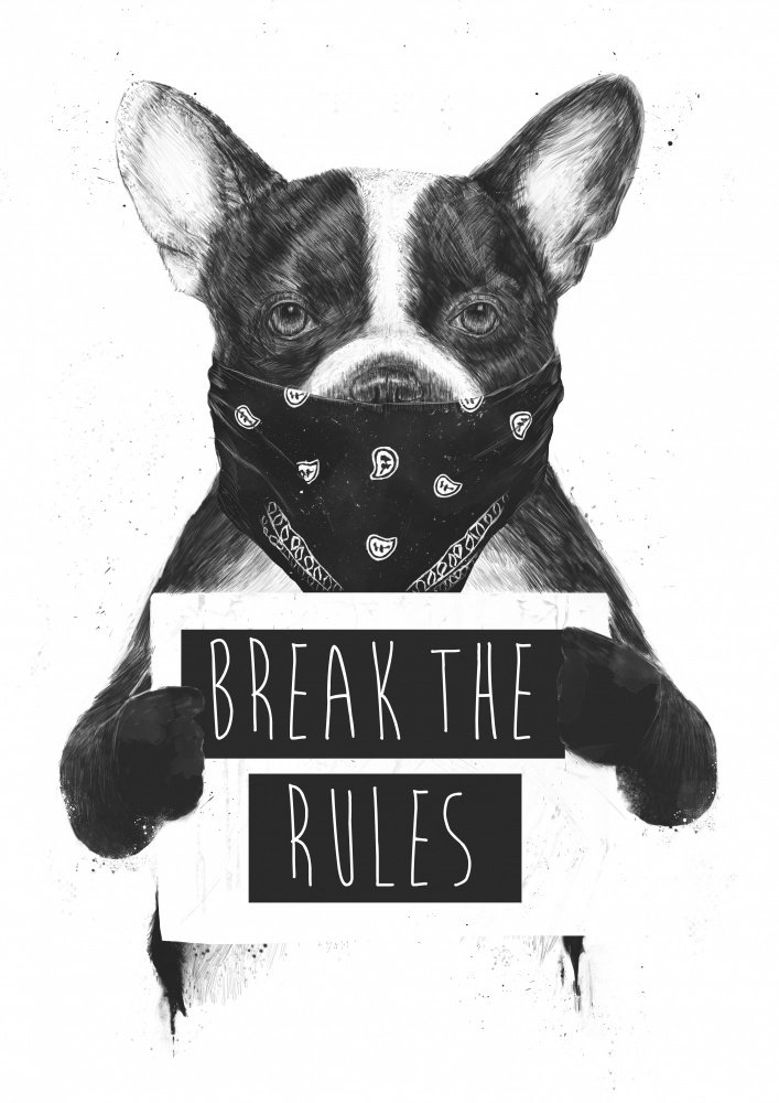 Rebel dog de Balazs Solti