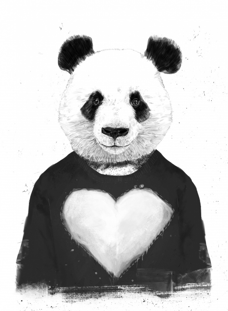 Lovely Panda de Balazs Solti
