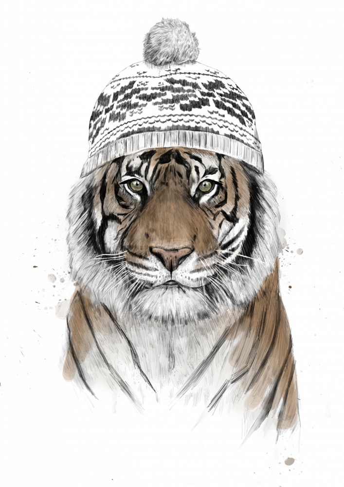 Siberian tiger de Balazs Solti