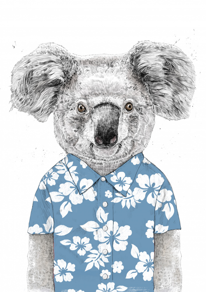 Summer Koala (blue) de Balazs Solti