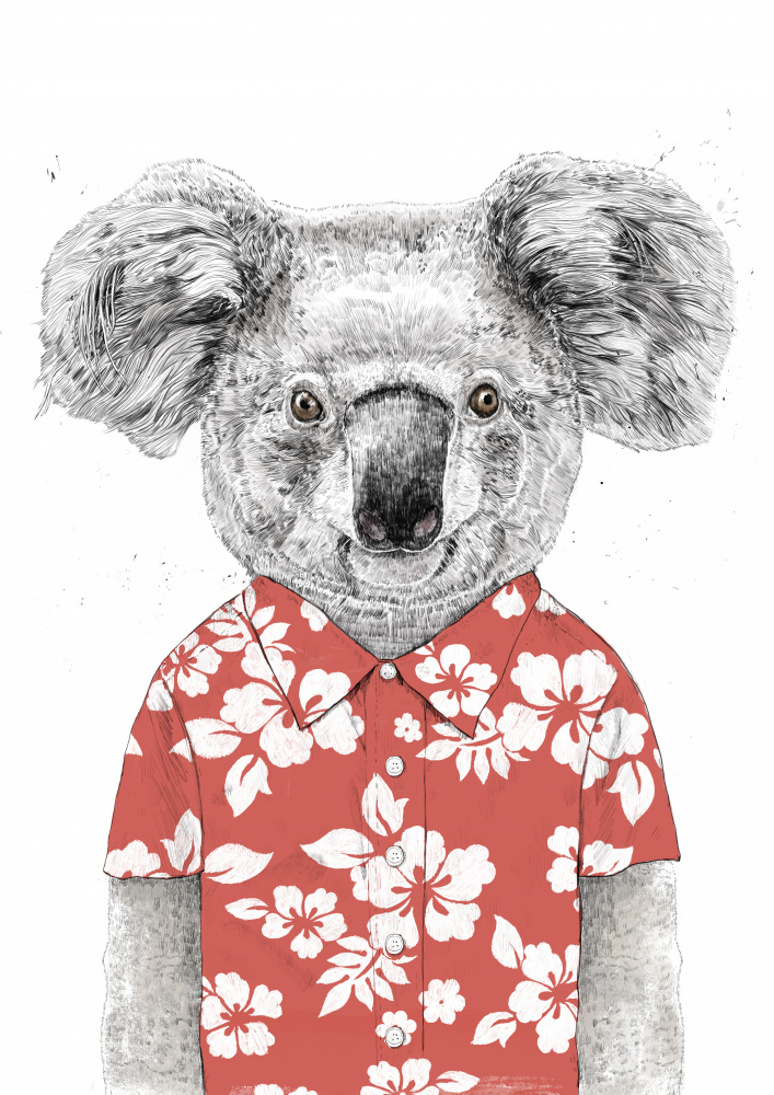 Summer koala (red) de Balazs Solti
