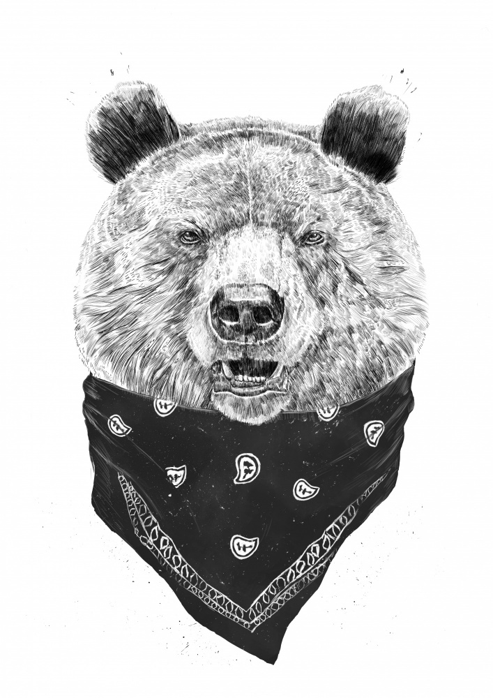 Wild bear de Balazs Solti