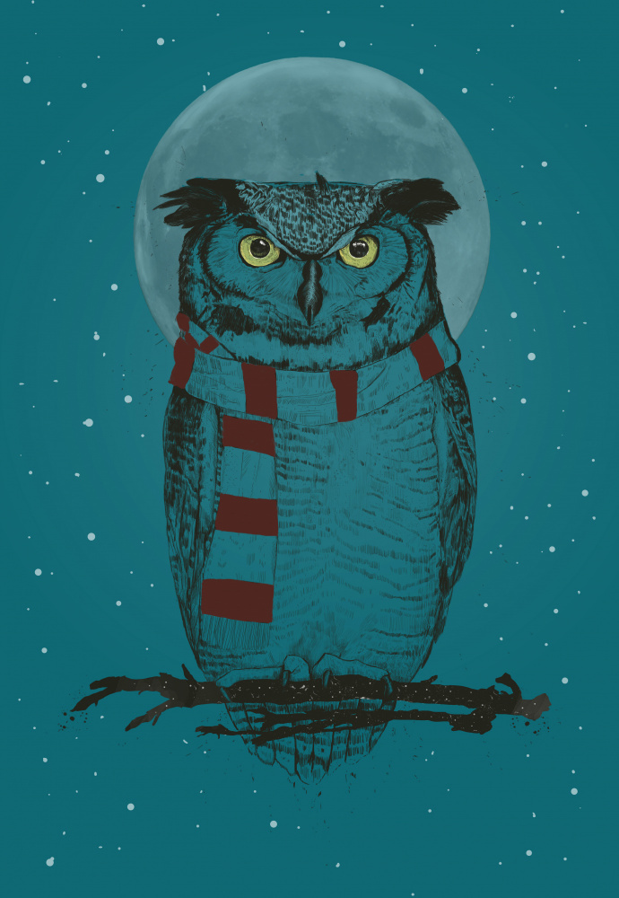 Winter owl de Balazs Solti