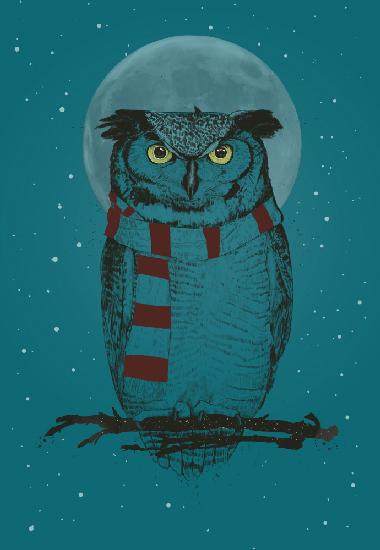 Winter owl