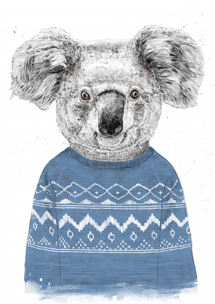 Winter koala (blue) de Balazs Solti