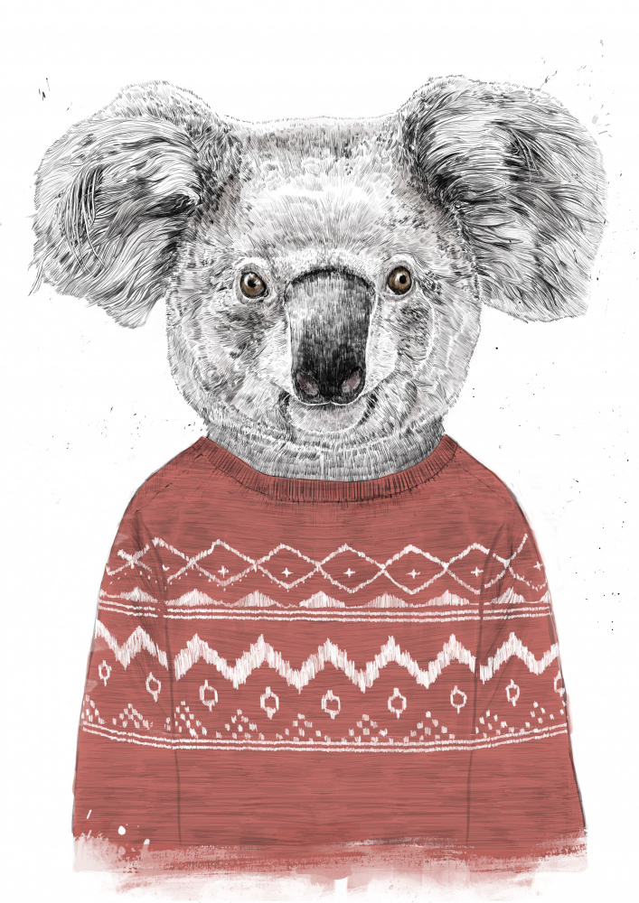 Winter koala (red) de Balazs Solti