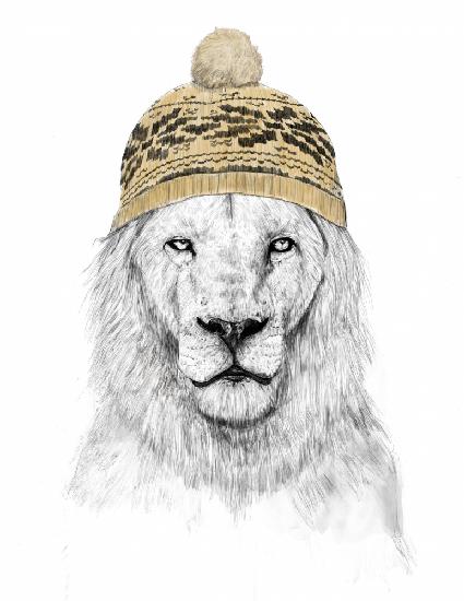 Winter Lion