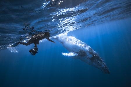 Yann &amp; Whale