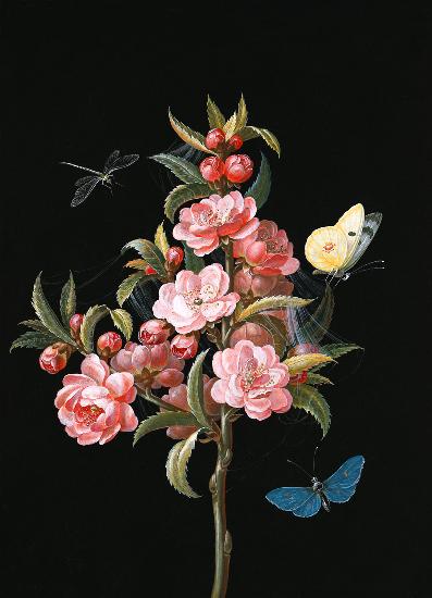 Japanese quince (or cherry) with dragon-fly and bu