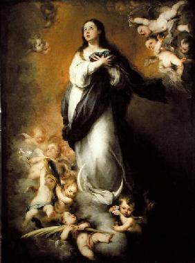 The Immaculate Conception