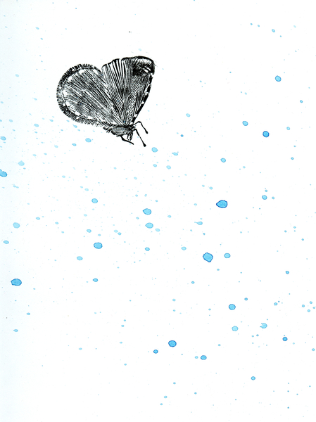 Moth {Fay-erie Dust} de Bella Larsson