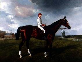 "St. Gatien" with Charles Wood Up, at Newmarket