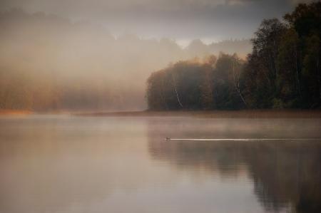 The mornings first swim turn