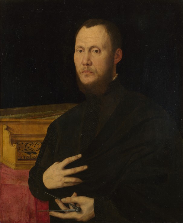 Portrait of a Musician de Bernardino Campi