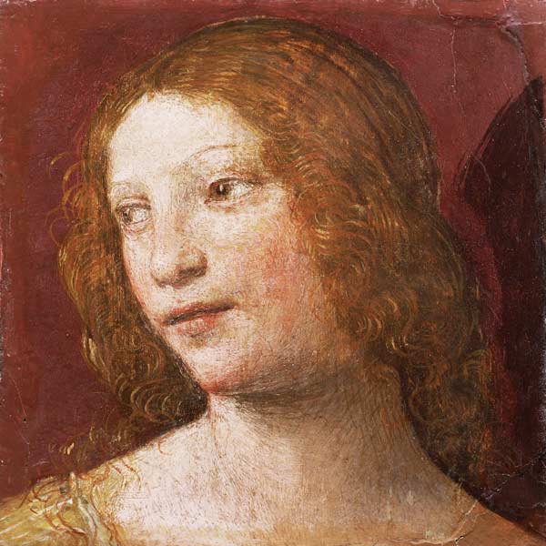 Head of a Young Woman de Bernardino Luini