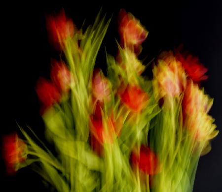 Impressionist Flowers