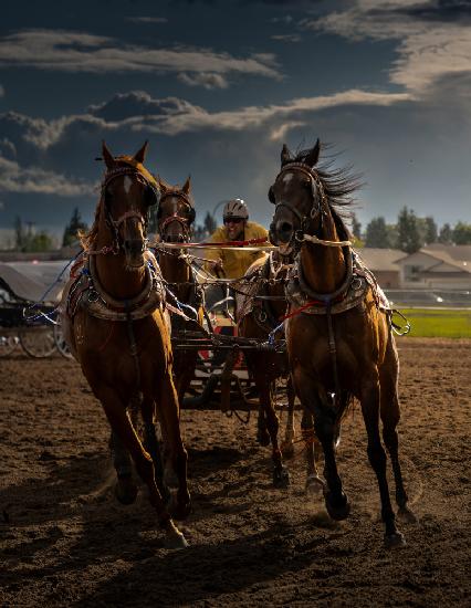 The power and the speed, Chuckwagon racing