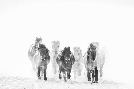 Running in the snow