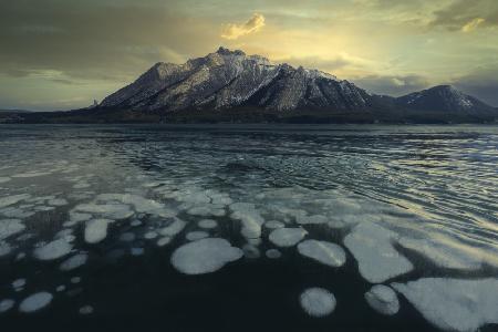 Landscape in Abraham Lake