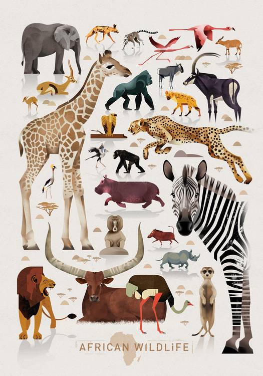African Wildlife de Dieter Braun