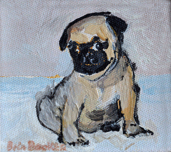 Vincent, the pug puppy de Brenda Brin  Booker