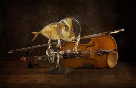 Fish and violin