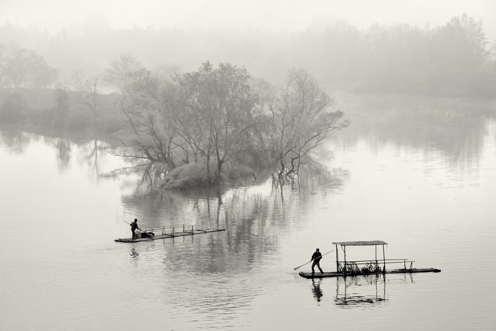 Foggy morning de C. Mei